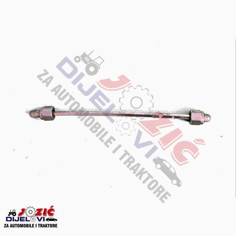 Daisy on the Ohoopee